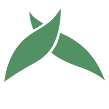 cosy.green Logo